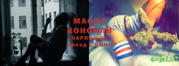 хмурый Аркадак