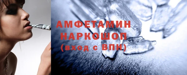 хмурый Аркадак