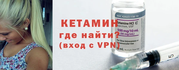 хмурый Аркадак