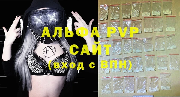 хмурый Аркадак