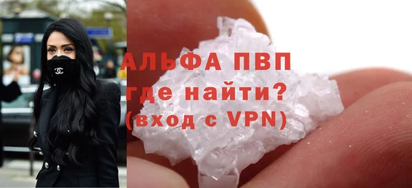 хмурый Аркадак