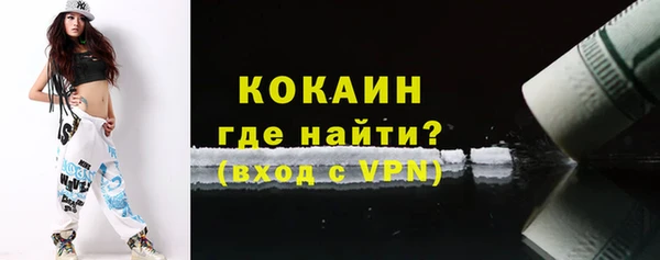 хмурый Аркадак