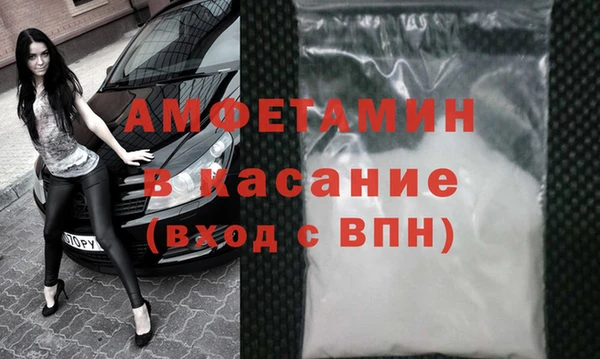 хмурый Аркадак