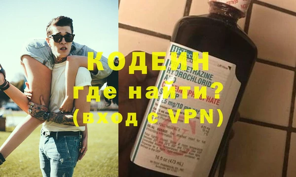 хмурый Аркадак