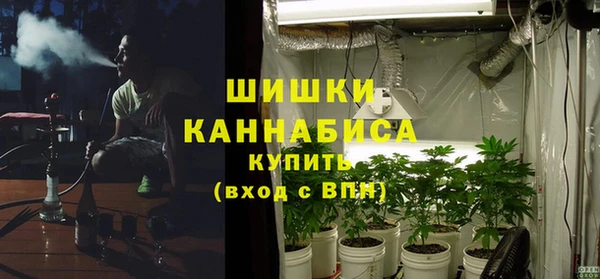 хмурый Аркадак